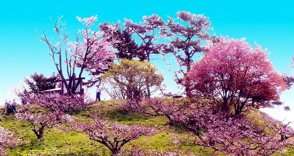 ホテル中の島別館 Guest house Sobetsu